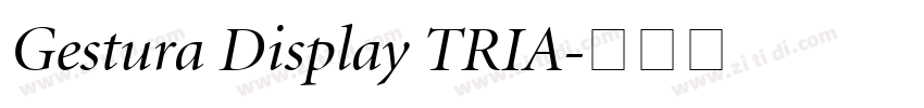 Gestura Display TRIA字体转换